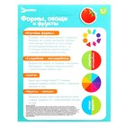 Развивающая игра с прищепками «Формы, овощи и фрукты», по методике Монтессори, уценка - Фото 8