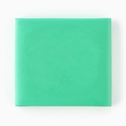 Ластик клячка художественный «Климт», цвет зеленый - Фото 3