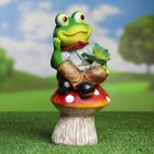 Фигура садовая "Лягушонок на мухоморе", 26 см - Фото 1