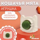 Игрушка для кошек с кошачьей мятой «Кот», 6.8 см, белая - Фото 1