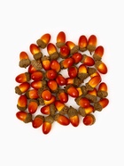 Декор «Желуди» 3×2 см, в наборе 50 шт.  (артикул 10421808)  большой выбор товаров оптом и в розницу по низким ценам с доставкой