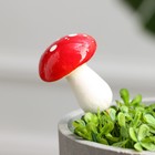 Топперы для творчества TAKE IT EASY «Грибочек мухоморчик», набор 20 шт., в цветы, кашпо, 4.5×3 см - Фото 2