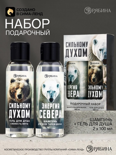 Подарочный набор новогодний «Сильному духом»: гель для душа и шампунь для волос, 2×100 мл, Чистое счастье