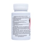 Средство от грибных болезней растений Бактофит, 80 г - фото 24744360