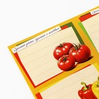 Этикетки для домашних заготовок «Овощи», 7 х 5 см (комплект 10 шт) - фото 25286928