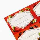 Этикетки для домашних заготовок «Ягоды», 7 х 5 см (комплект 10 шт) - фото 25286934