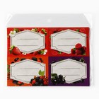 Этикетки для домашних заготовок «Ягоды», 7 х 5 см (комплект 10 шт) - фото 25286935