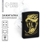 Зажигалка новогодняя бензиновая «Новый год: Змея», 5,5 х 3,5 см 10340691 - фото 14521204