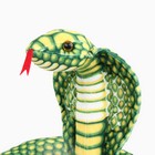 Мягкая игрушка «Змея. Кобра», 200 см, цвет зелёный - Фото 8