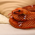 Мягкая игрушка "Змея", 30 см/140 см, цвет коричневый - фото 4643643
