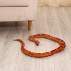 Мягкая игрушка "Змея", 30 см/140 см, цвет коричневый - фото 4643646