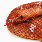 Мягкая игрушка "Змея", 30 см/140 см, цвет коричневый - фото 4643648