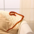 Мягкая игрушка «Змея», 80 см, цвет коричневый - Фото 5