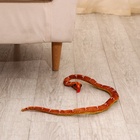 Мягкая игрушка «Змея», 80 см, цвет коричневый - Фото 6