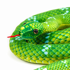 Мягкая игрушка «Змея», 140 см, цвет зелёный - Фото 7