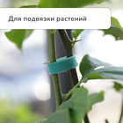Лента «Липучка» для подвязки растений, 5 м, зелёная, Greengo - Фото 5
