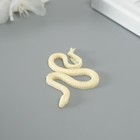 Молд силикон "Змея ползет" 0,3х5,6х3,1 см - фото 4633804