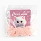 Резинка для волос «Самая милая» 7.7×11 см - Фото 6