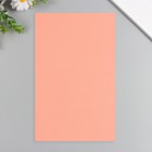 Лист для творчества иск.кожа "Рисунок Личи" розовый лист 33х20 см толщина 1 мм - фото 24707107