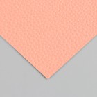 Лист для творчества иск.кожа "Рисунок Личи" розовый лист 33х20 см толщина 1 мм - фото 24707108