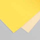 Лист для творчества иск.кожа "Рисунок Личи" ярко-жёлтый лист 33х20 см толщина 0,7 мм - фото 24707114