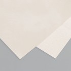 Лист для творчества иск.кожа "Масло. Матовый" белый лист 33х20 см толщина 0,74 мм - фото 321799906