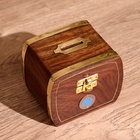 Копилка «Бокс», 10×7×9 см, дерево шишам - Фото 2