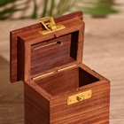 Копилка «Сейф», 9×6×10 см, манговое дерево - Фото 4