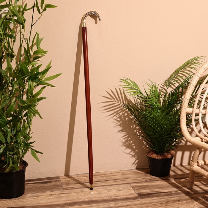 Трость, 93 см, дерево шишам - Фото 1