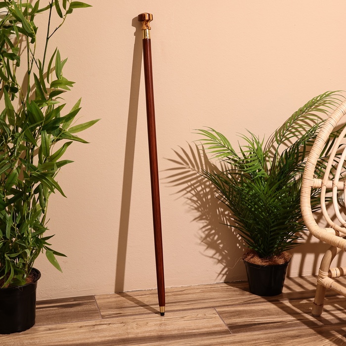 Трость, 93 см, дерево шишам - Фото 1