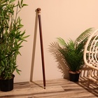 Трость, 93 см, дерево шишам - Фото 1