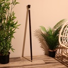 Трость, 93 см, дерево шишам - Фото 1