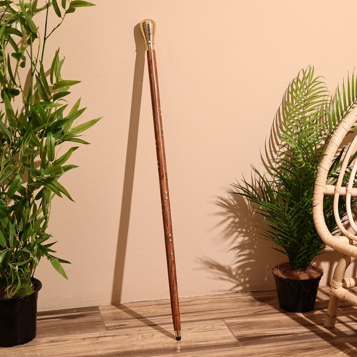 Трость, 94 см, дерево шишам - Фото 1