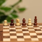 Шахматы карманные, доска 12,5х12,5 см, дерево шишам - Фото 3