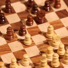 УЦЕНКА Шахматы круглые, доска 18×18 см, дерево шишам - Фото 6