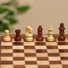 Шахматы складные, доска 20×20 см, дерево шишам - Фото 9