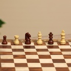 Шахматы складные, доска 25×25 см, дерево шишам - Фото 3