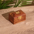 Шкатулка «Лебедь», 7.5×5×5 см, манговое дерево - Фото 1