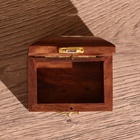 Шкатулка «Лебедь», 7.5×5×5 см, манговое дерево - Фото 4