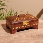 Шкатулка «Синди», 16×10×9 см, дерево шишам - Фото 1