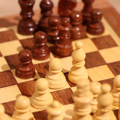 Игра настольная 2 в 1, шахматы, бэкгэммон, 15.5×15.5×5 см, дерево шишам