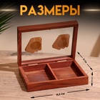 Шкатулка для игральных карт на 2 колоды, 15.5×12×3.5 см, дерево шишам - Фото 2