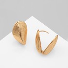 Серьги металл «Аккорд» ракушка, волны, цвет золото - фото 24732258
