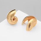 Серьги металл «Аккорд» ракушка, цвет золото - фото 24732268