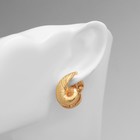 Серьги металл «Аккорд» ракушка, цвет золото - фото 24732269