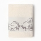 Полотенце махровое "Снежный город" 50х90 см, 100% хлопок, 360гр/м2 10542075