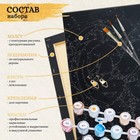 Картина по номерам «Красота змеи», 40 × 50, 27 цветов, чёрный холст - фото 24707474