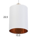 Люстра «Оазис», 1×60 Вт Е27, белый/золото, 15×15×30(100) см - Фото 5