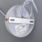 Люстра «Оазис», 1×60 Вт Е27, белый/золото, 15×15×30(100) см - Фото 7