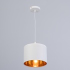 Люстра «Оазис», 1×60 Вт Е27, белый/золото, 20×15×30(100) см - Фото 2